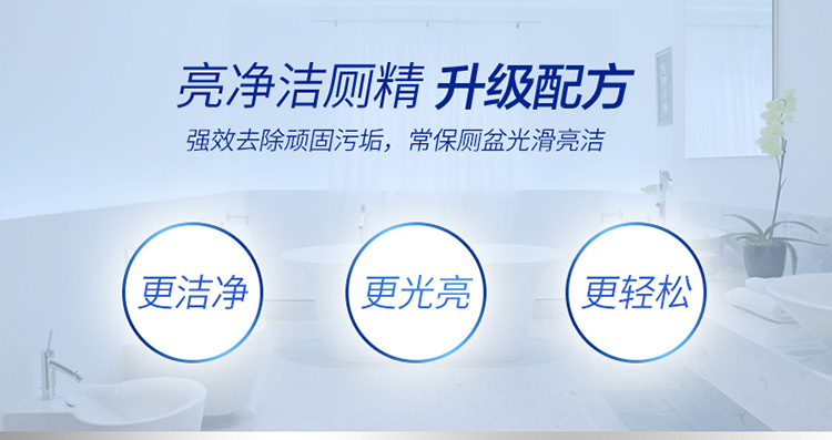 LQG10-1强效+光亮洁厕精1L LQG10-1强效+光亮洁厕精1L